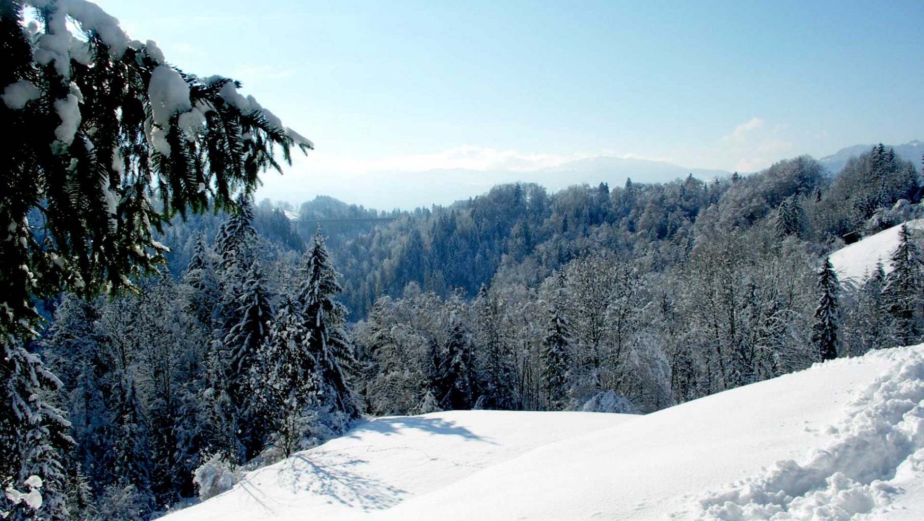Schöne Winterlandschaft in Lingenau im Bregenzerwald.
